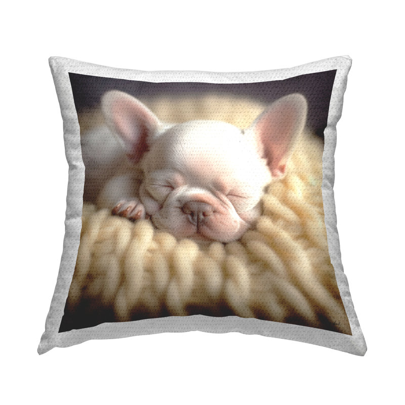 Outdoor Throw Pillow
