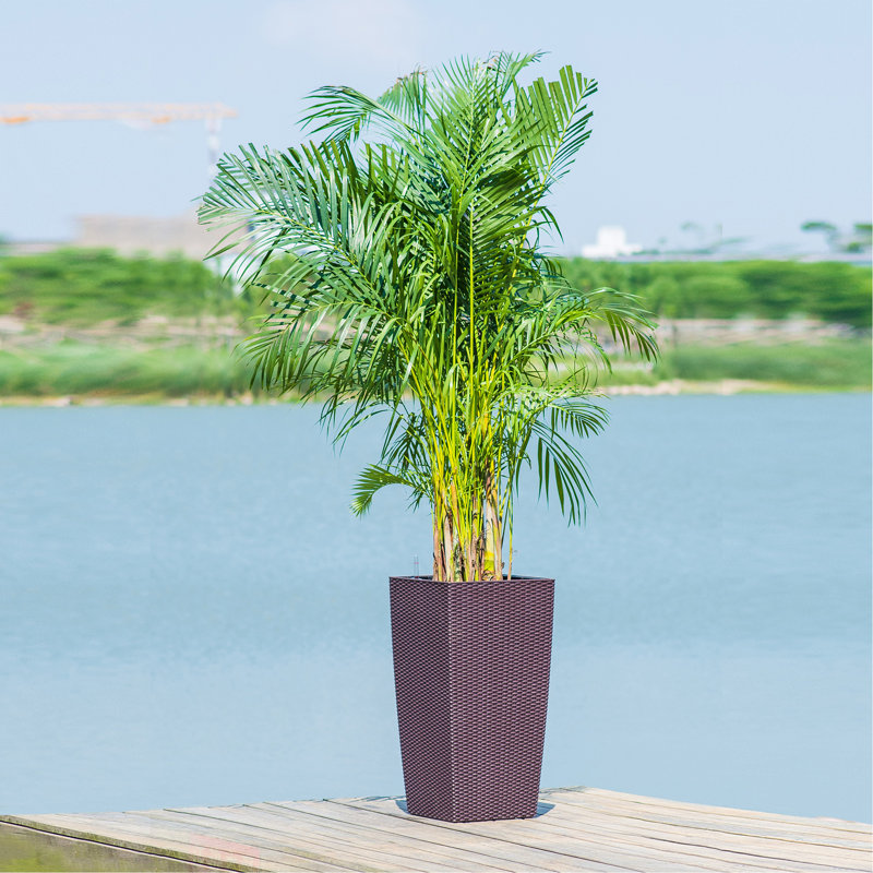 30 In Tall Large Flower Pots Planter With Self-Watering Drainage Holes&Inner Trays Indoor Outdoor Plant Pot With Drain Holes, Water Level Monitor, Inner Bucket For Garden, Patio, Porch, Backyard,Brown