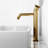 Cass 12" H Single Handle Vessel Sink Bathroom Faucet-61598617