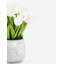Artful Interiors Cement Realtouch