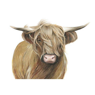 Highland Bovins I
