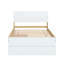 Lit simple à la mode avec tête de lit blanche ultrabrillante et cadre de lit gigogne polyvalent en chêne de conception moderne et pratique pour la chambre à coucher-1202614750-1202614744