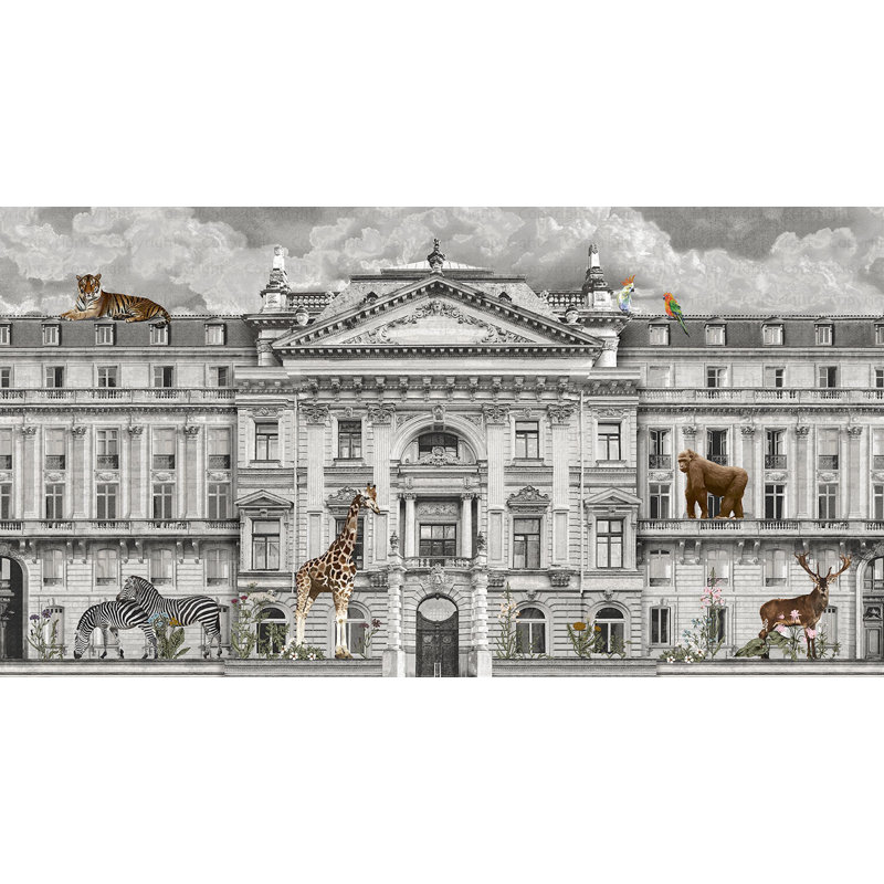 Papier peint animaux de zoo Urban Safari, Gris, L 110,04 po x l 204 po