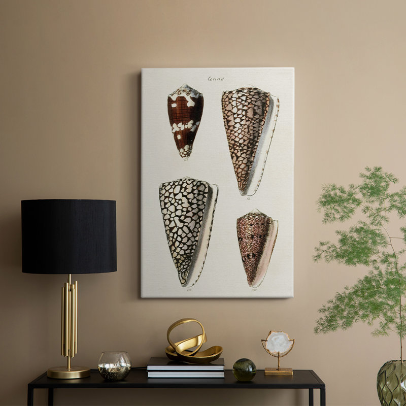 Collection Cone Shell I -Gallery Wraraped Cavas, H 60 po x l 40 po