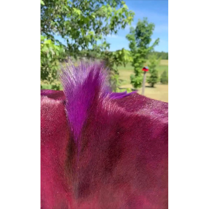 Dyed Purple Springbok Hide