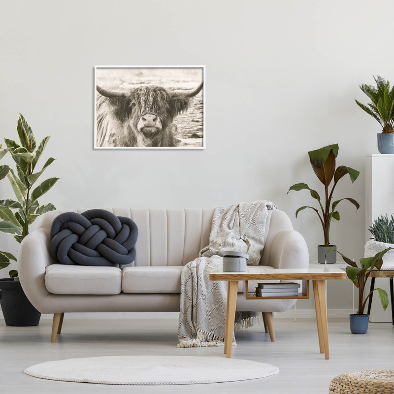 Photographie d'une vache Highland, H 24 po x l 30 po x P 1,5 po, Giclée encadrée blanc bord de mer