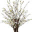 Cerisier blanc en pot brun clair-1192338307