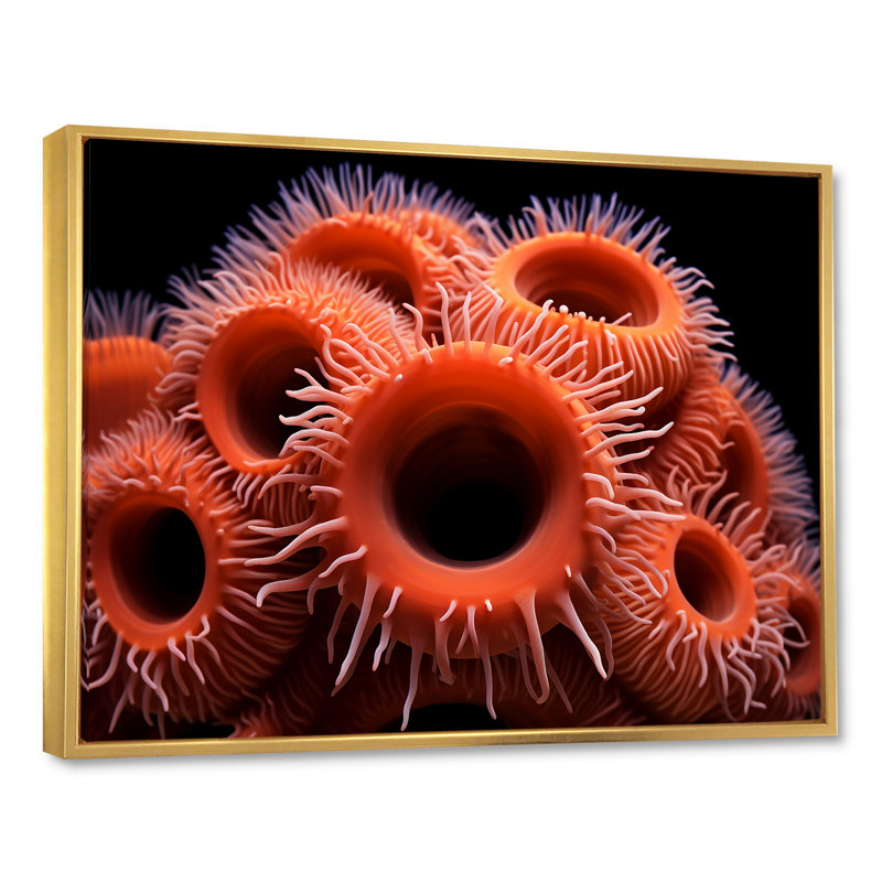 " Orange Giant Plumose Anemone ", Gold Floater Framed, 24" H x 32" W x 1" D