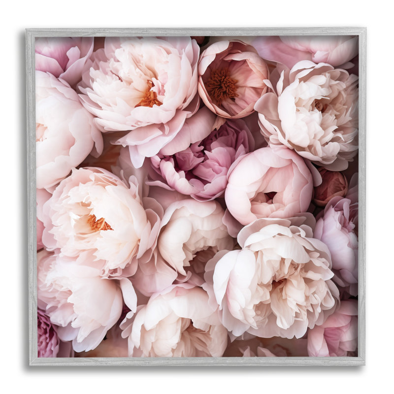 Az-498 - Reproduction de pivoines variées encadrées sur toile par Riley B, H 12 po x l 12 po x P 1,5 po