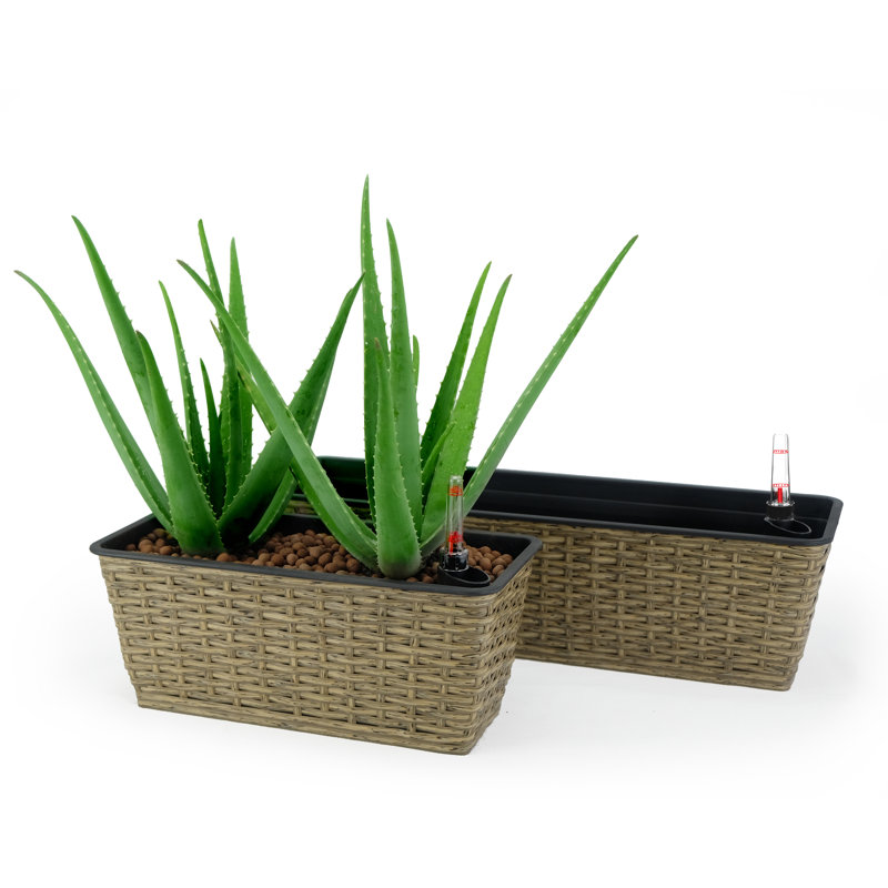 Ensemble de 2 pots de fleurs rectangulaires en osier pour l'intérieur et l'extérieur Aldrich