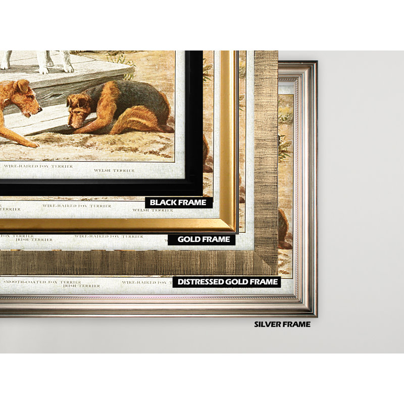 « canin sketch xxi », impression, H 27 po x l 39 po x P 2 po, Cadre noir, Pas de tapis