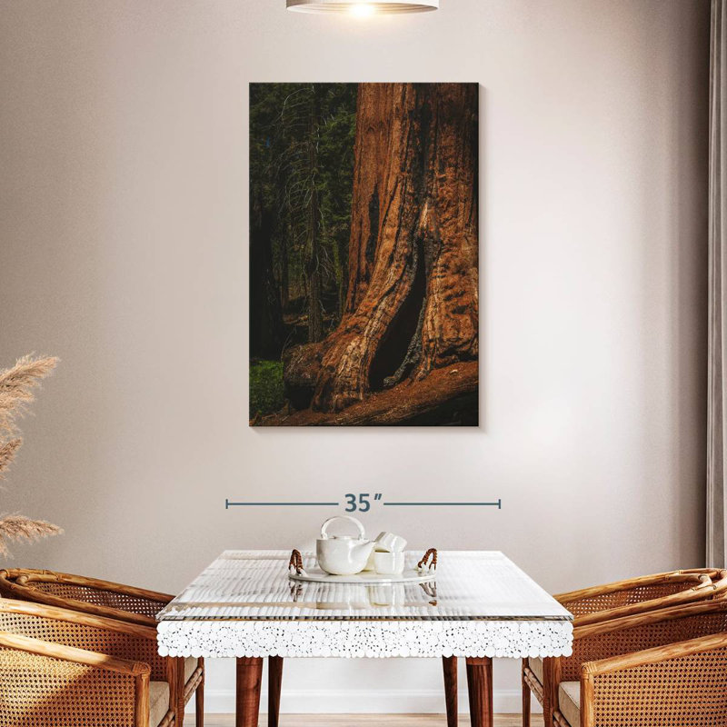 Harnek Sherman Trail Sequoia Trees, 45" H x 30" W