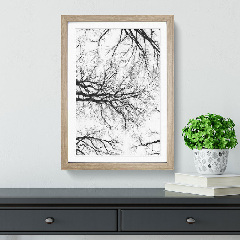 Tree Branches in Central Park New York - Picture Frame Painting Print, Oak Framed, 33cm H x 24cm W x 2cm D