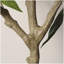 Arbre d'eucalyptus artificiel 5 pi avec pot en plastique noir, plante artificielle en pot réaliste pour la décoration intérieure de bureau à domicile, arbre artificiel vert luxuriant, 1pc / ensemble