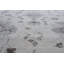 Adryan Oriental Area Rug-182159319