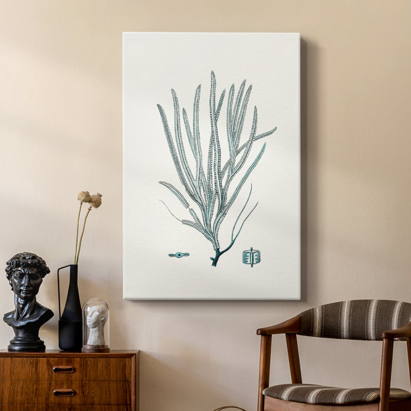 Antique Coastal Coral VII - galerie Cavas sur mesure, H 18 po x l 12 po