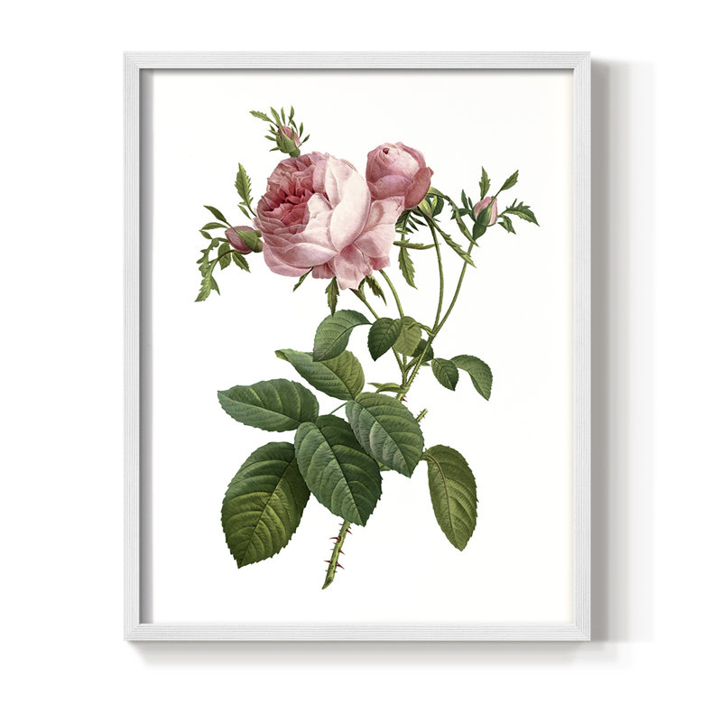 «Botanical Beauty IV», reproduction encadrée - bois massif, H 15 po x l 12 po, Blanc