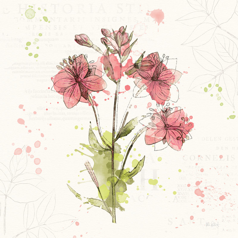 Floral Splash V by Katie Pertiet - Wrapped Canvas Painting, 30cm H x 30cm W