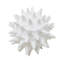 Copernicus Sculpture-859993893