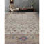 Oriental Indoor Rug