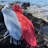 Cotton Ultra Light Bath Towel-922788993