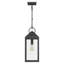 Mini-luminaire suspendu noir tacheté 1 lumière Dewayne