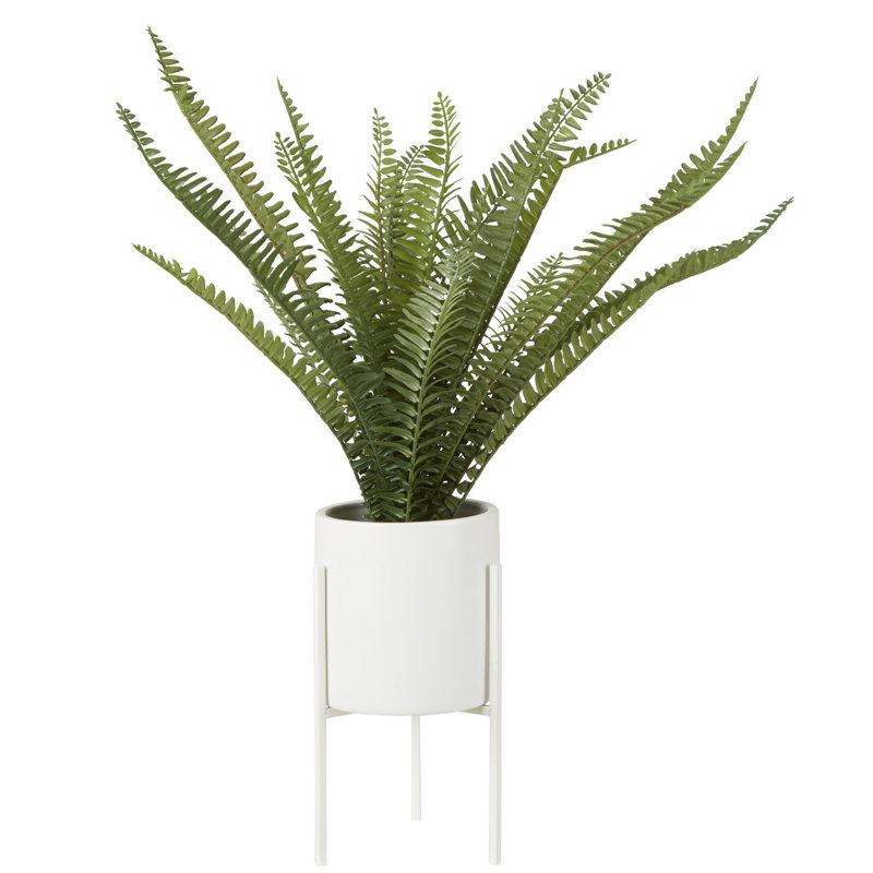 56cm Faux Fern Plant in Pot