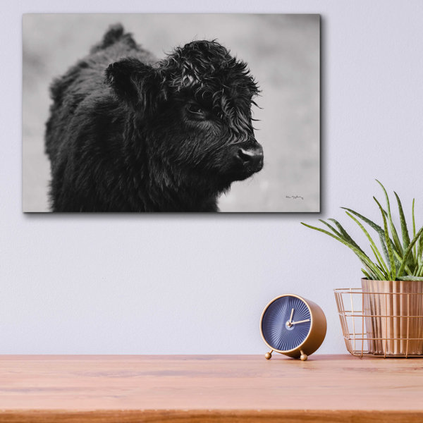 August Grove® Epic Art 'scottish Highland Cattle Xi Bw' By Alan 