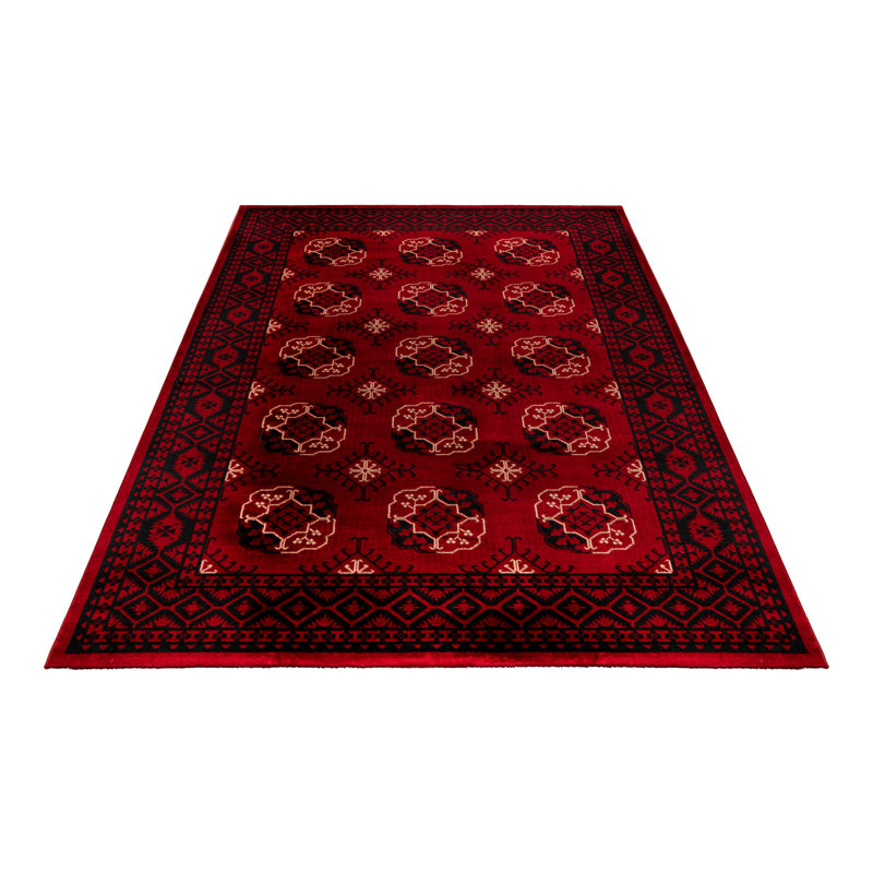 Ariana Oriental Area Rug, Rectangular 160 x 230cm