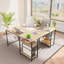 Thielsen Modular L-Shaped Steel Computer Desk-1397534850