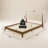 Lunaris Mid-Century Solid Wood Queen Platform Bed With Upholstered Headboard-1080637319