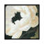 « floral study », reproduction d’impression sur toile-72450738-72450737-30005743