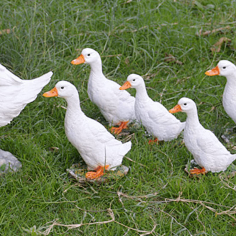 Real Farm Duck Statues