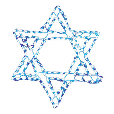 Star of David LED Display (32")