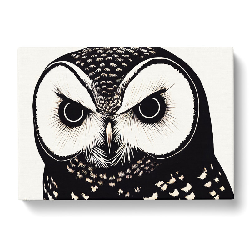 Desirable Owl - Wrapped Canvas Print, 35cm H x 50cm W x 3cm D