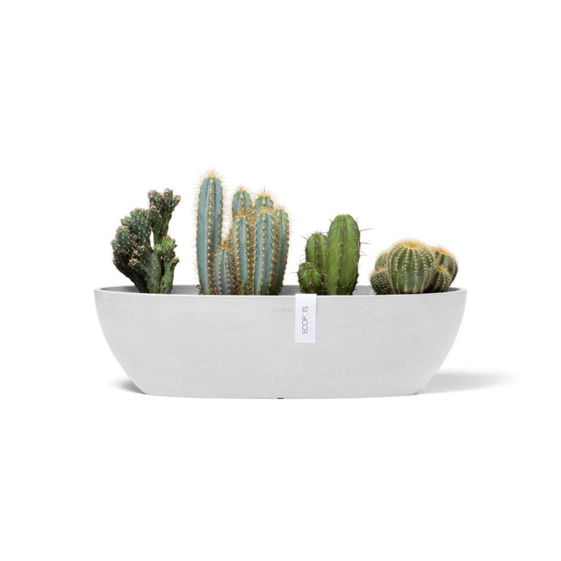 Jardinières en pot, Blanc pur