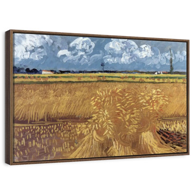 Champ de blé avec réas