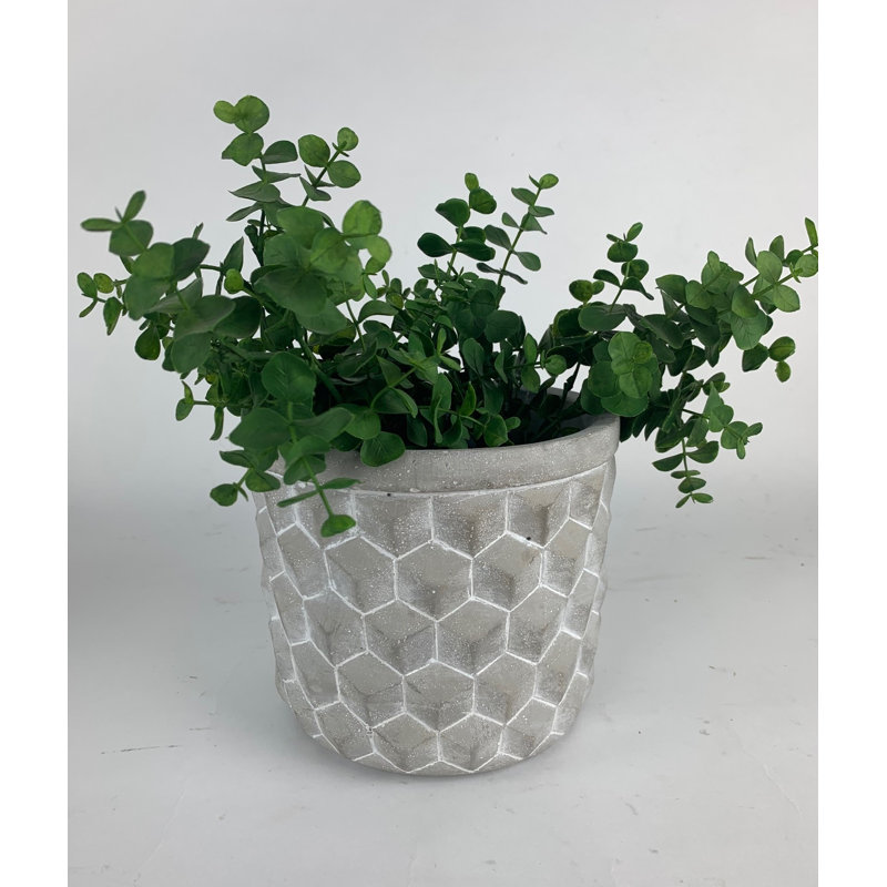 Jedu Pot Planter