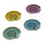Sirena Coaster