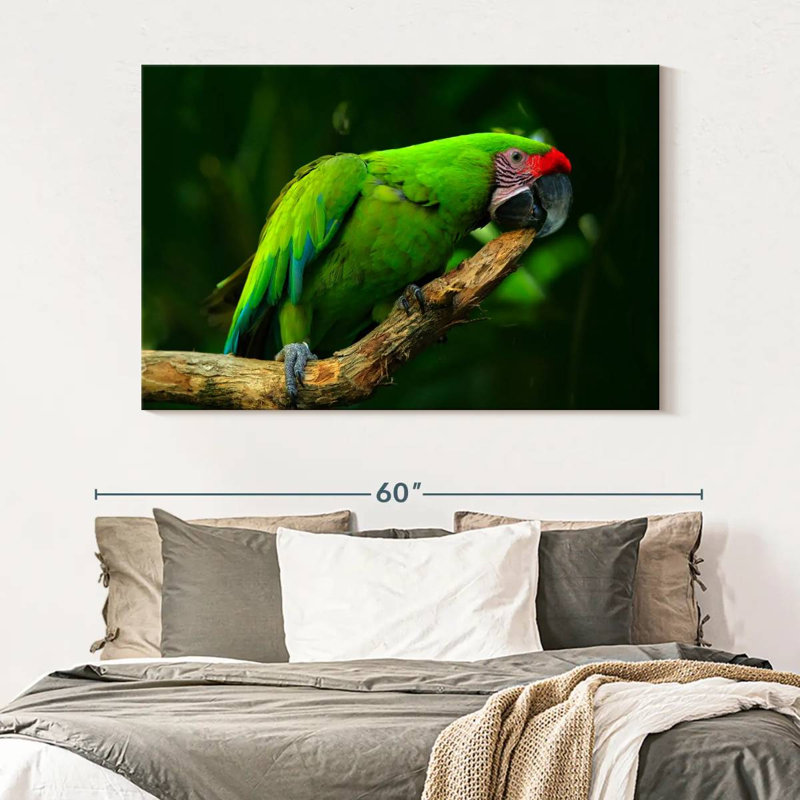 Military Macaw, 34" H x 51" W