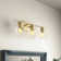 Katarina 3 - Light Dimmable Vanity Light