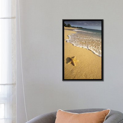 « solitaire étoile, big beach, makena state park, maui, hawai’i, usa », reproduction de photo sur toile