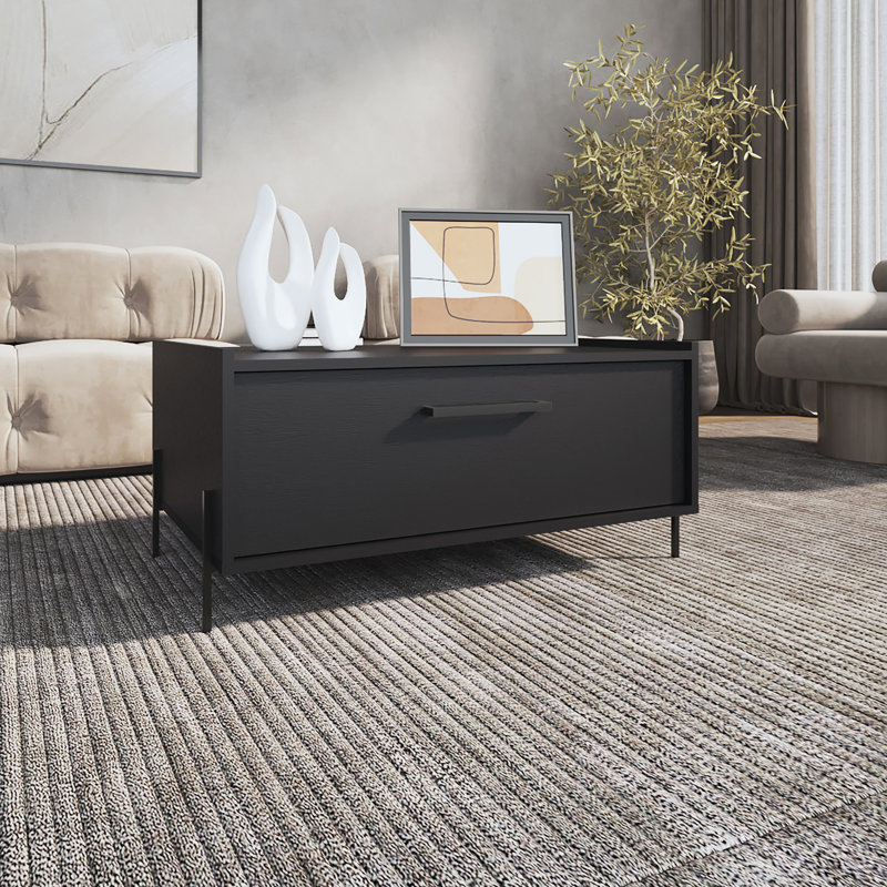 Table basse de 15,6 po de hauteur minimaliste avec armoire coulissante et tablette ouverte, rectangulaire noire pour espace de vie, armoire rabattable ravissante, pièce, merveilleuse