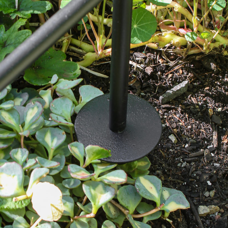 44'' W x 19'' D Metal Arbor in Black