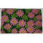 Paillasson 18 po x 30 po Coir