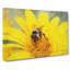 Bee Collecting Pollen Painting - Wrapped Canvas-56662020
