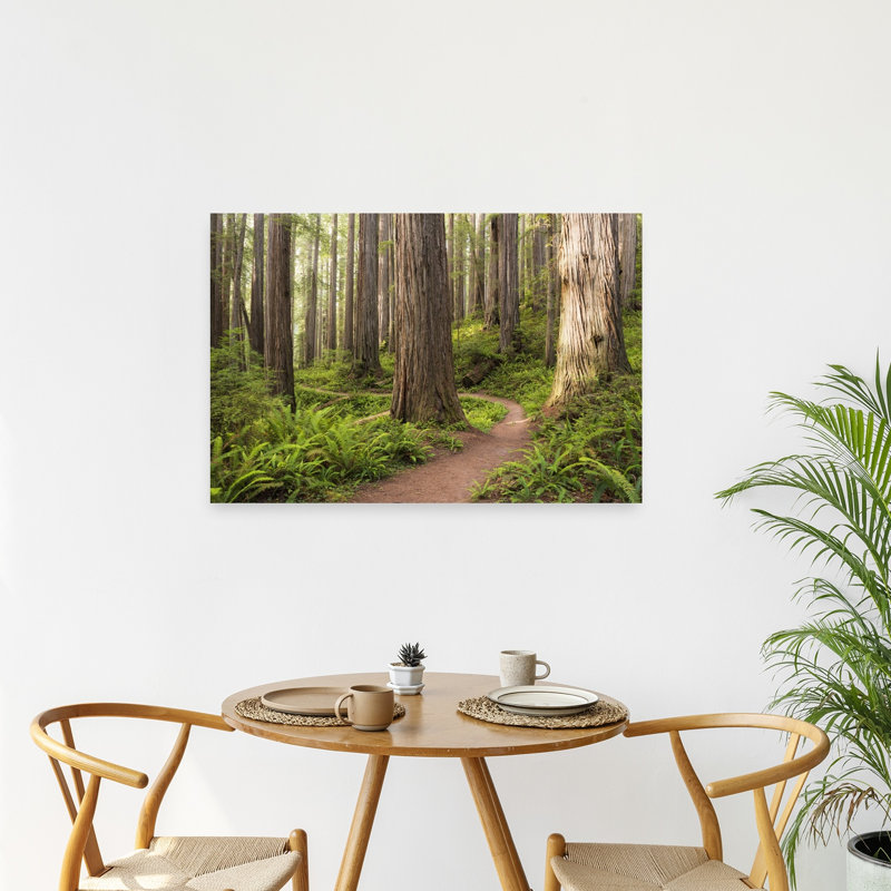 «Lost World», reproduction d'art contemporain de paysage forestier contemporain, 24" H x 36" W