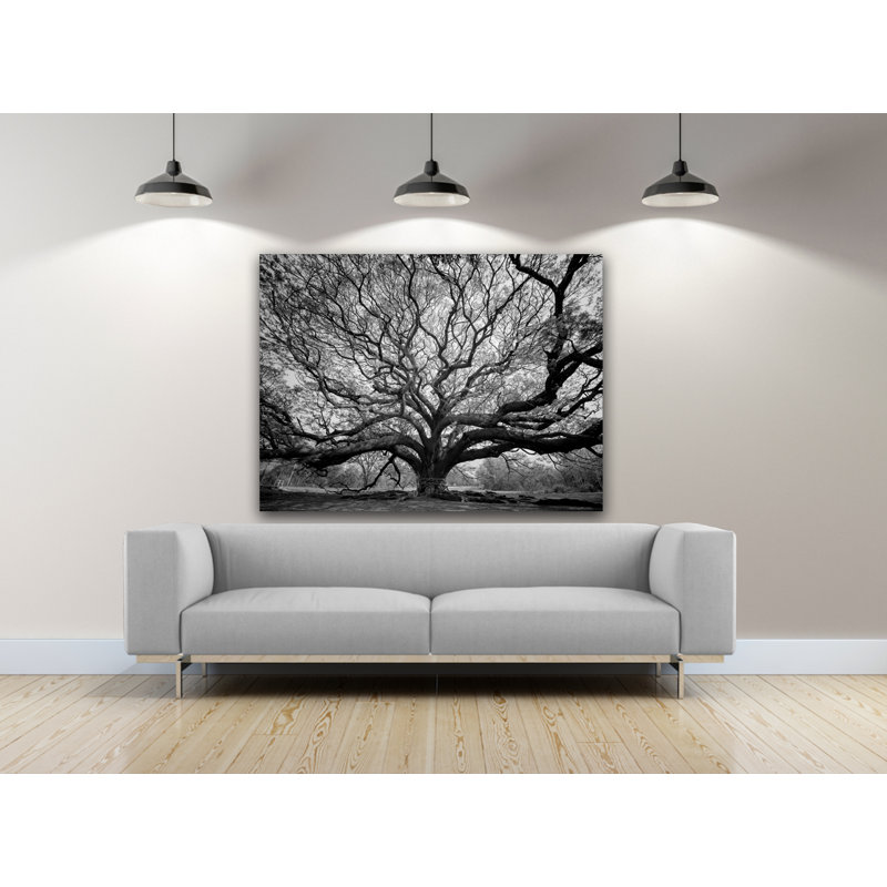 «Tree of Life», reproduction de photo sur toile tendue, 30 po x 40 po, H 30 po x l 40 po x p 1 po
