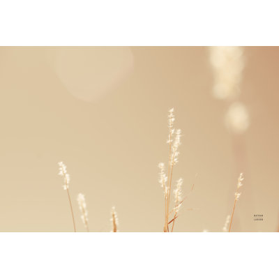 Lakeside Grasses IV by Nathan Larson - Wrapped Canvas Art Prints