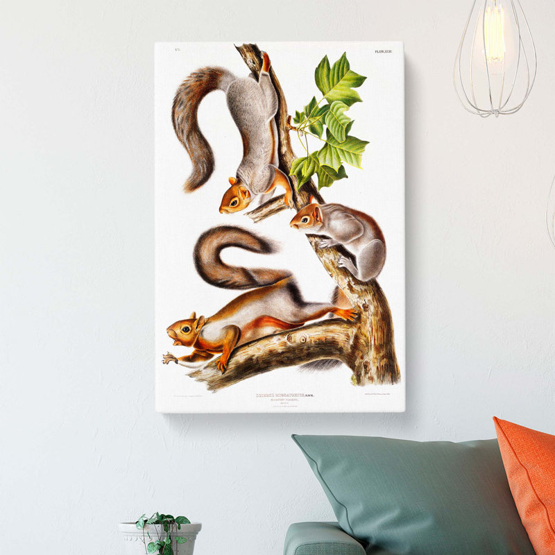 Migratory Squirrels by J.W. Audubon - Wrapped Canvas, 91cm H x 60cm W x 3cm D